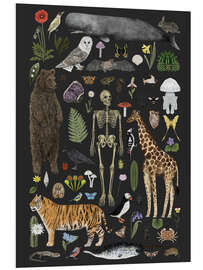 Hartschaumbild Charaktere der Natur I