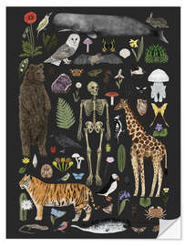 Wandsticker Charaktere der Natur I