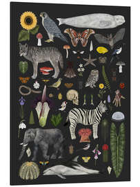 Alubild Charaktere der Natur II