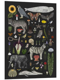 Hartschaumbild Charaktere der Natur II