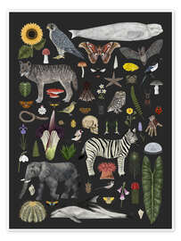 Poster Charaktere der Natur II