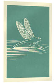 Acrylglasbild Libelle, die über Wasser gleitet