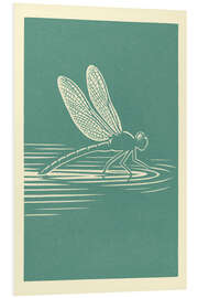 Hartschaumbild Libelle, die über Wasser gleitet