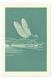 Wandbild Libelle, die über Wasser gleitet - Gradient Grooves