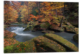 Acrylglasbild Flusslauf im Elbsandsteingebirge im Herbst - Tobias Richter