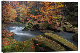 Leinwandbild Flusslauf im Elbsandsteingebirge im Herbst - Tobias Richter