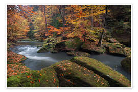 Wandbild Flusslauf im Elbsandsteingebirge im Herbst - Tobias Richter