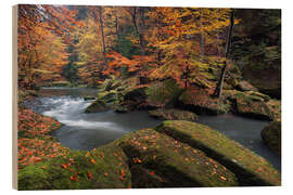 Holzbild Flusslauf im Elbsandsteingebirge im Herbst - Tobias Richter