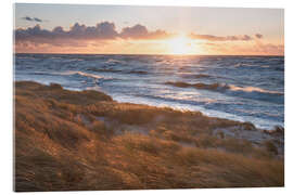 Acrylglasbild Sonnenuntergang über der Ostsee, Darßer Strand - Tobias Richter