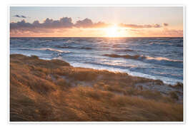 Wandbild Sonnenuntergang über der Ostsee, Darßer Strand - Tobias Richter