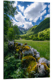 Tableau en aluminium Mossy stone wall in the valley of the green mountains - Stefan Becker