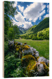 Cuadro de madera Mossy stone wall in the valley of the green mountains - Stefan Becker