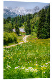 Acrylglasbild Alpenidylle mit blühender Wiese und Bergpanorama - Stefan Becker