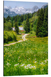 Tableau en aluminium Alpine idyll with flowering meadow and mountain - Stefan Becker