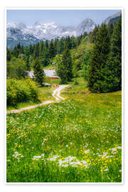 Wandbild Alpenidylle mit blühender Wiese und Bergpanorama - Stefan Becker