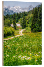 Cuadro de madera Alpine idyll with flowering meadow and mountain - Stefan Becker