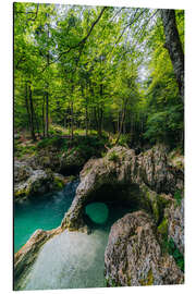 Tableau en aluminium Magical stone bridge in the emerald green forest paradise - Stefan Becker