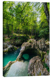 Leinwandbild Magische Steinbrücke im smaragdgrünen Waldparadies - Stefan Becker