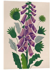 Acrylglasbild Fingerhut in Blüte