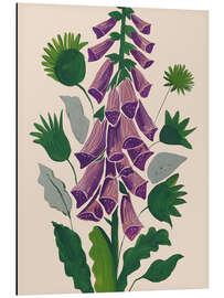 Alubild Fingerhut in Blüte