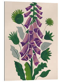 Gallery Print Fingerhut in Blüte