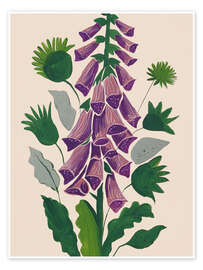 Poster Fingerhut in Blüte