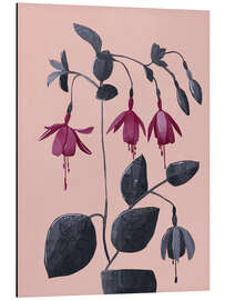 Alubild Fuchsia Botanische Zeichnung - Branka Kodžoman