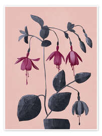 Poster Fuchsia Botanische Zeichnung - Branka Kodžoman