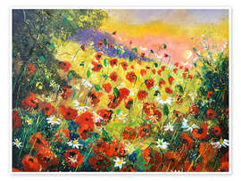 Poster Rote Mohnblumen