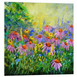 Acrylglasbild Rudbeckien in meinem Garten - Pol Ledent