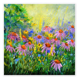 Poster Rudbeckien in meinem Garten - Pol Ledent