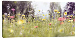 Leinwandbild Wildblumenwiese
