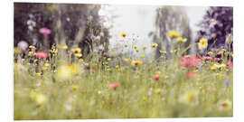 Hartschaumbild Wildblumenwiese