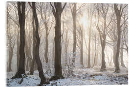 Acrylglasbild Verschneiter Wald im Winter im Erzgebirge - Tobias Richter