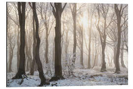 Alubild Verschneiter Wald im Winter im Erzgebirge - Tobias Richter