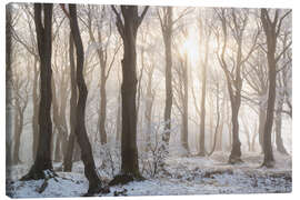 Leinwandbild Verschneiter Wald im Winter im Erzgebirge - Tobias Richter