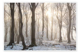 Wandbild Verschneiter Wald im Winter im Erzgebirge - Tobias Richter