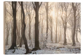 Holzbild Verschneiter Wald im Winter im Erzgebirge - Tobias Richter