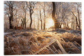 Acrylglasbild Verschneiter Wald im Winter im Erzgebirge - Tobias Richter