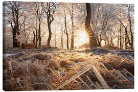 Leinwandbild Verschneiter Wald im Winter im Erzgebirge - Tobias Richter