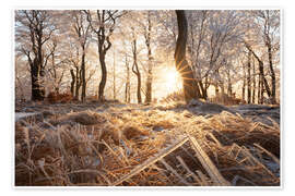 Wandbild Verschneiter Wald im Winter im Erzgebirge - Tobias Richter