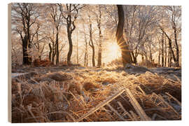 Holzbild Verschneiter Wald im Winter im Erzgebirge - Tobias Richter