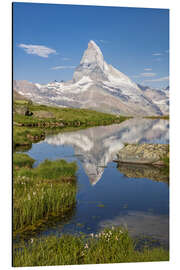 Aluminium print Matterhorn reflected in the lake in summer - Tobias Richter