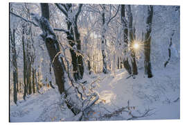 Quadro em alumínio Snowy forest in the Ore Mountains