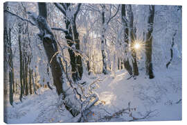Leinwandbild Verschneiter Wald im Erzgebirge