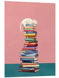 Hartschaumbild Wo die Katze träumt