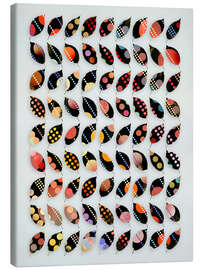 Leinwandbild Herbst-Souvenirs - Angelo Cerantola