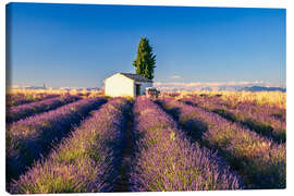 Leinwandbild Sommer in der Provence - Achim Thomae