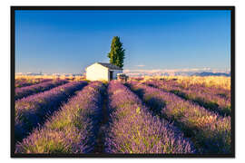 Gerahmter Kunstdruck Sommer in der Provence