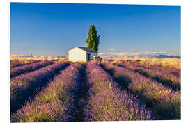 Hartschaumbild Sommer in der Provence